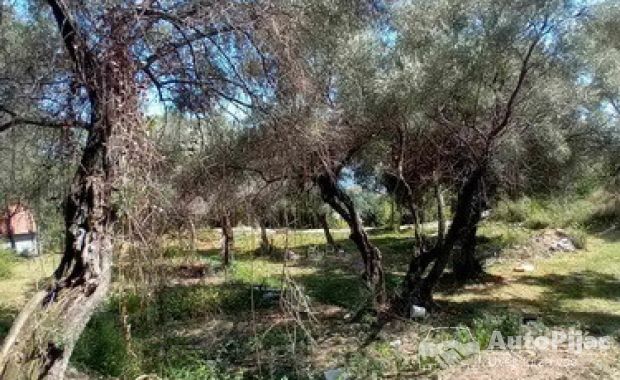 Herceg Novi, građevinski placevi na 1.7 km od centra