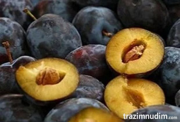 Rezervacije u toku za sadnju voćnih sadnica