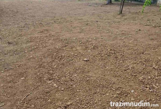 Uslužno freziranje i uredjenje dvorišta