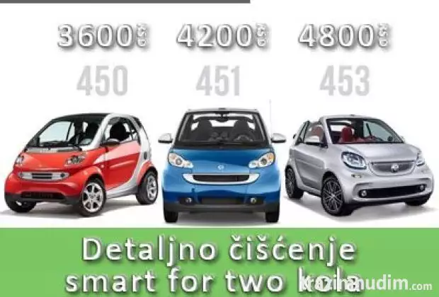 Detaljno ručno i mašinsko čišćenje automobila Smart ForTwo 1500 - 4800