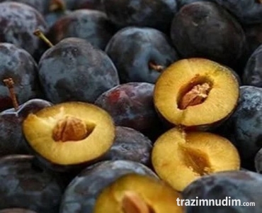 Rezervacije u toku za sadnju voćnih sadnica