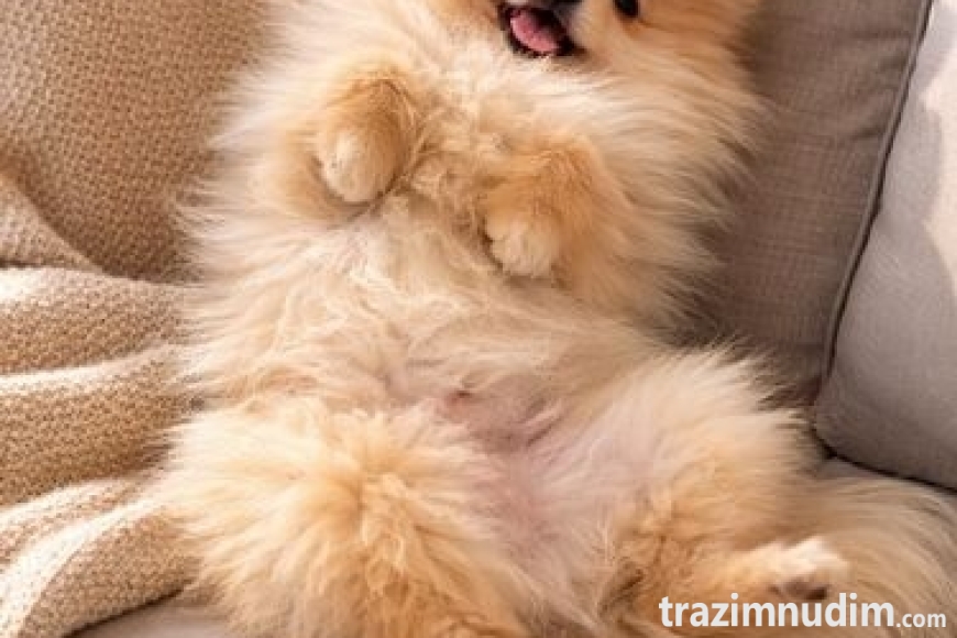 001 viber_slika_2026-04-14_12-57-34-075 manja