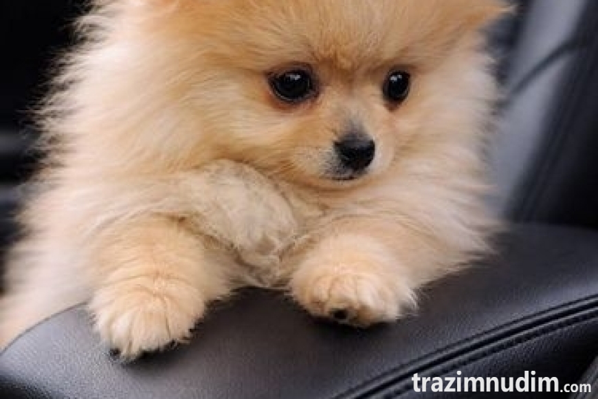 004 viber_slika_2026-04-14_12-57-33-955 manja