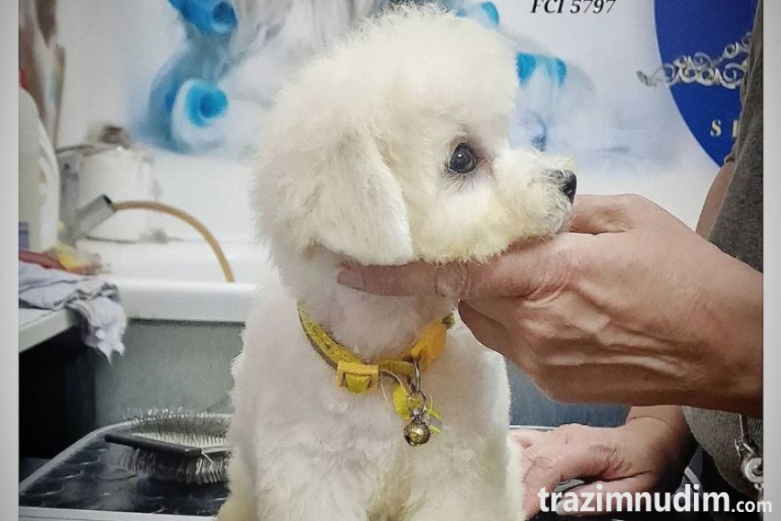 viber_image_2026-05-04_08-52-11-322