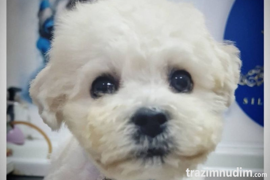 viber_image_2026-05-04_08-53-45-731