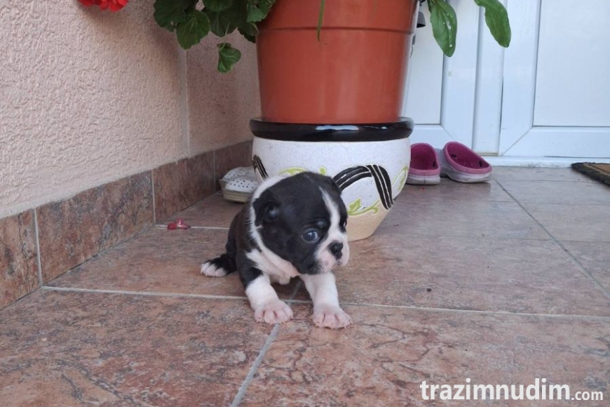 viber_image_2026-06-27_19-50-39-626